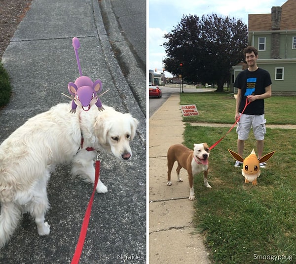 4. У стен приюта тут же выстроилась огромная очередь, желающих совместить приятное с полезным