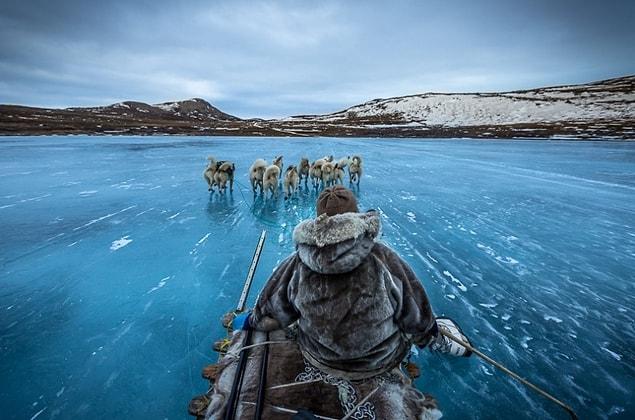 3. Dog sledding in Greenland