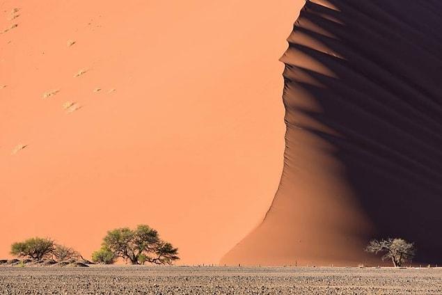 16. The sea-like dunes of the Namib Desert