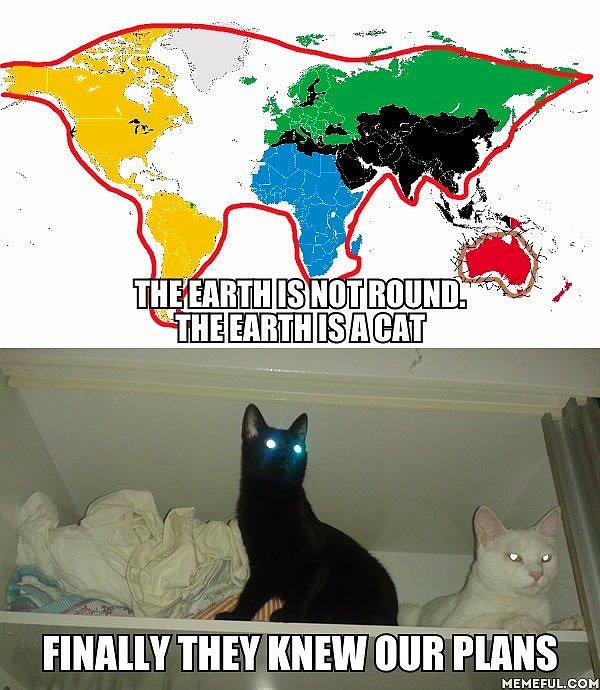 15. Dünya haritası kediye benziyor. 😮