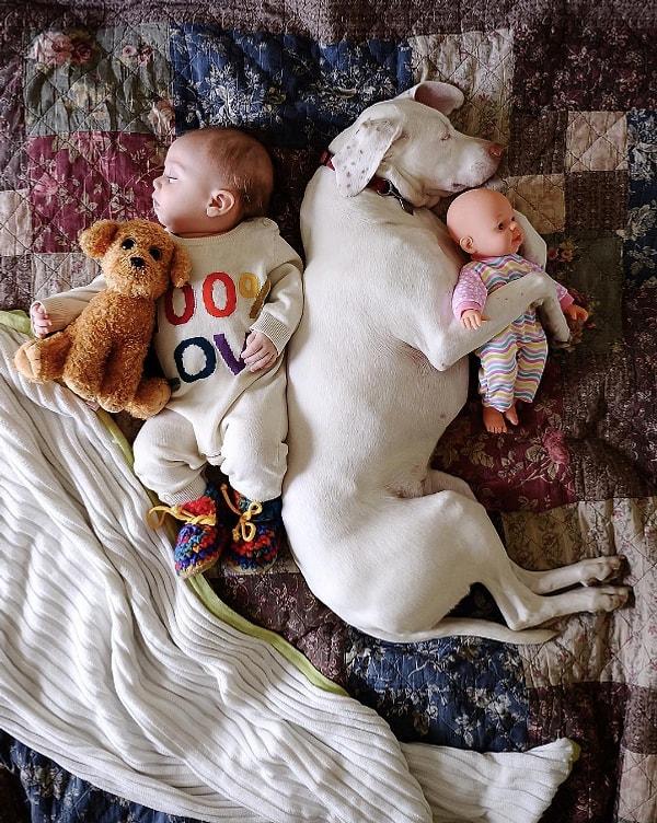 2. Kanadalı anne Elizabeth Spence bir süredir bu minnoş ikiliyi böyle mışıl mışıl uyurken fotoğraflıyor.