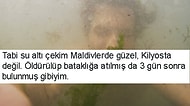 Bunaltan Sıcak Havalarda Zihninizi Havuza Sokarcasına Rahatlatacak 19 Görselli Tweet