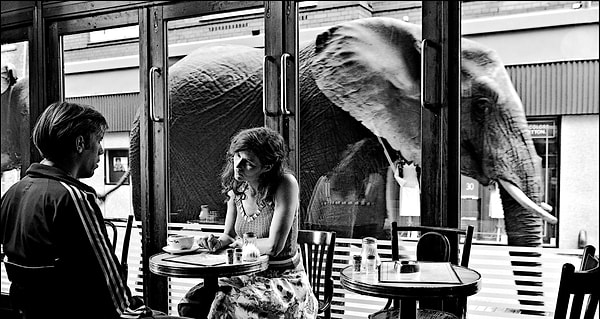 9. Темная лошадка, 2005, Дания