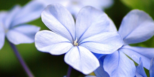 9. Они чувствительны