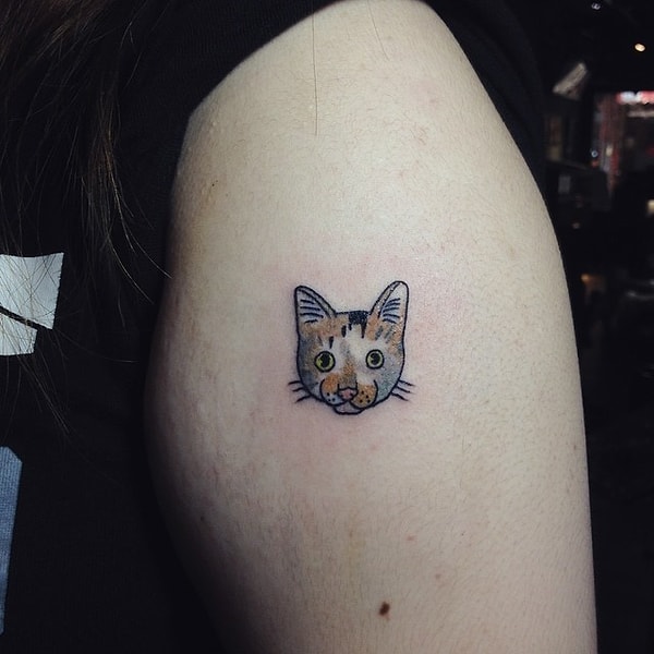 21. Миленькая мордочка