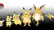 Pokemonların Evrimleşme Süreci Daha Uzun Olsaydı Ara Türler Neye Benzerdi?