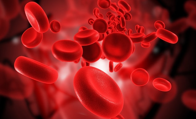 There are four known types of blood