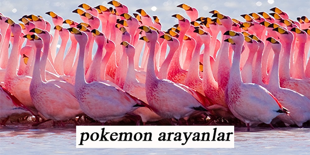 Pokemon Tutkunlarının Tekrar Tekrar Bakmak İsteyeceği Birbirinden Güzel 27 Görsel