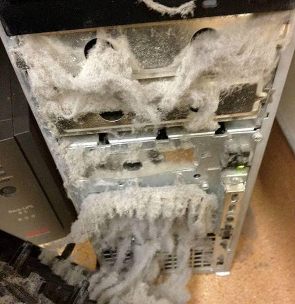 9. Это "происшествие" достойно того, чтобы его показали по новостям!