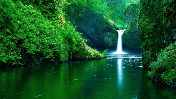 Совершенство мира!