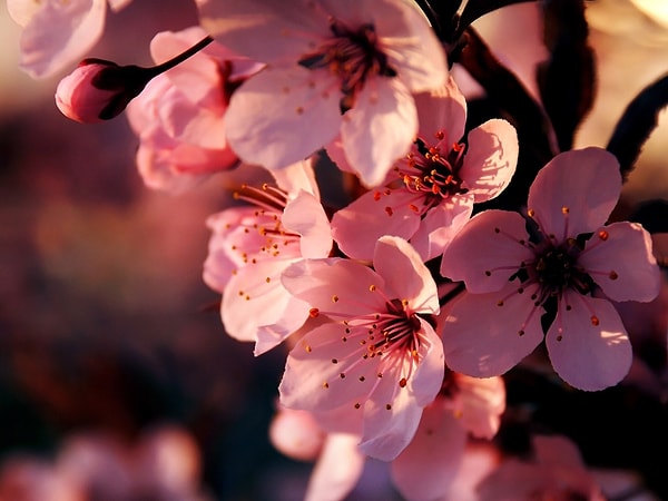 5. «Я хотела повременить с интимом до брака, но связалась не с тем человеком и слишком быстро сдалась. Я пообещала себе, что теперь буду ждать до брака, смирилась со своей ошибкой и больше не хочу себя за это наказывать»