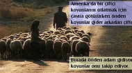 19. Yüzyıl Osmanlı'sında Yaşamış Amerikalı Bir Kadının Ülkesiyle Kıyasladığı 23 Durum