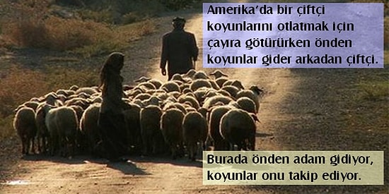 19. Yüzyıl Osmanlı'sında Yaşamış Amerikalı Bir Kadının Ülkesiyle Kıyasladığı 23 Durum