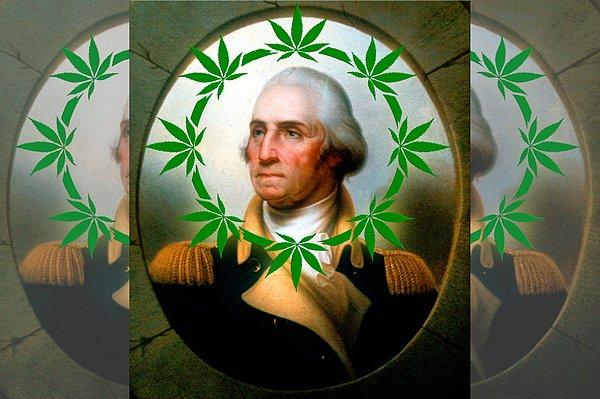 21. George Washington'ın esrar kullandığına dair bir kanıt yoktur. Onun esrarı yalnızca halat ve giysi yapımında kullandığı bilinmektedir.