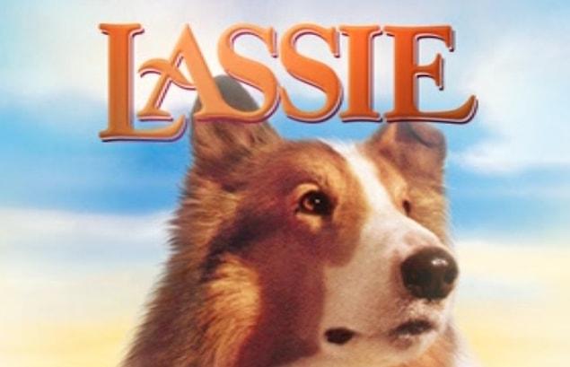 9. Lassie (1994)