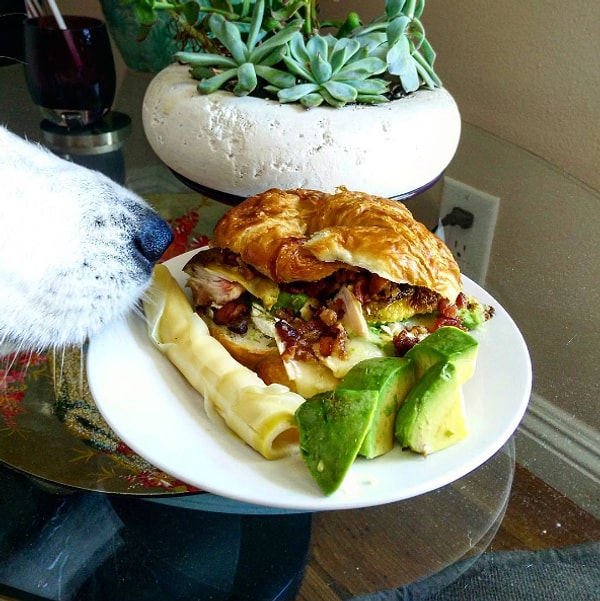 10. Круассан = бигмак