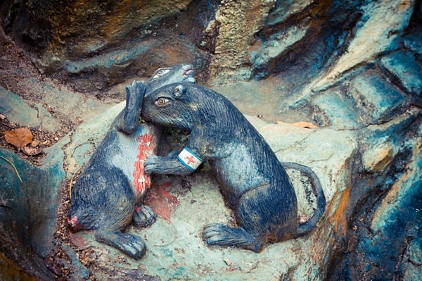 5. А он точно ему помогает?