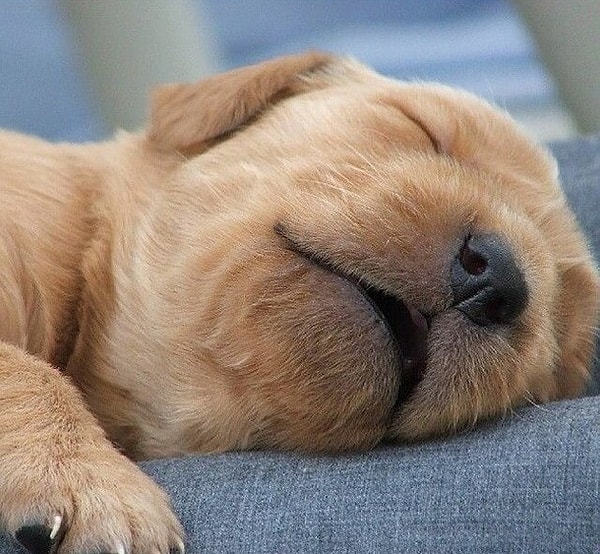 16. Потому что у любящих поспать людей не остается так много времени на важные дела. Именно поэтому ты думаешь, что никогда не будешь успешным / успешной