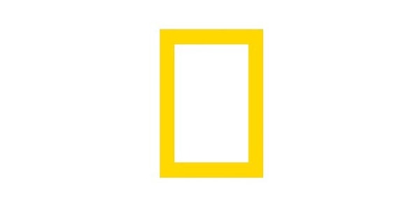 3. Тебе кажется, что ты уже видел этот желтый прямоугольник?