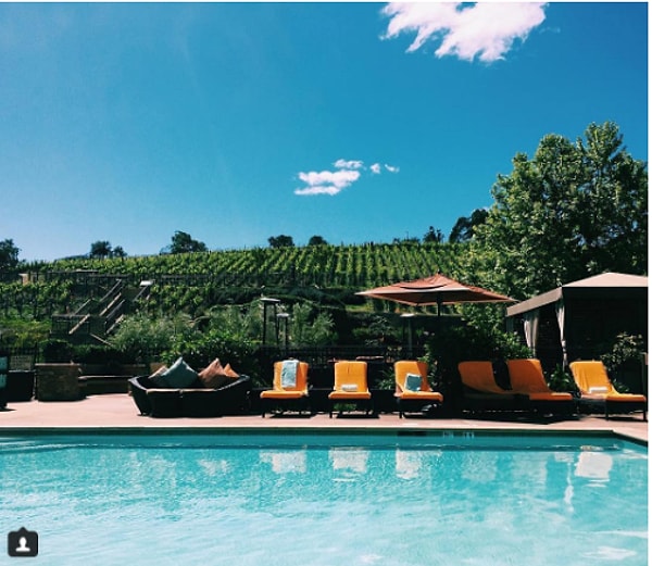 1. Водолей: Калифорнийские виноградники