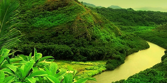 12 историй дружбы человека и дерева в архитектуре