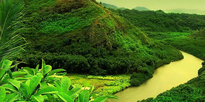 12 историй дружбы человека и дерева в архитектуре