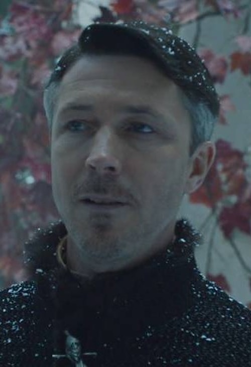 Petyr Baelish - Aidan Gillen