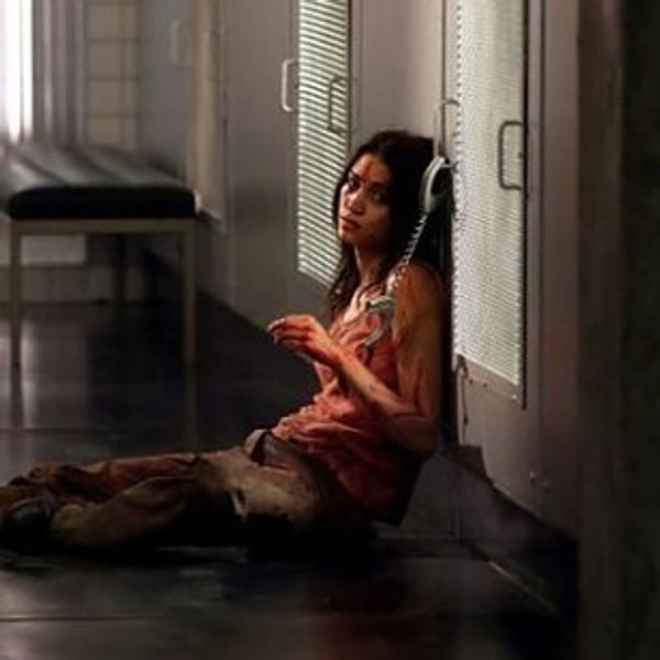 4. Мученицы (2008)