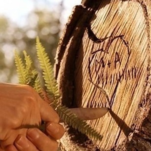 14. Не говори никому (2006)