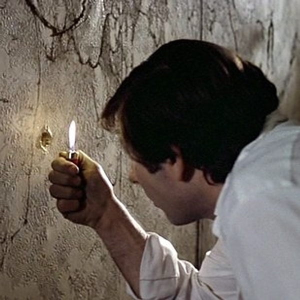 18. Жилец (1976)