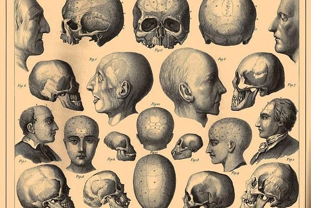 12. For many centuries, researchers have been trying different methods to determine the tendency to be violent. For instance, the 19th century science branch “Phrenology” argued that people's tendency to use violence can be understood  from the shape of their skull.