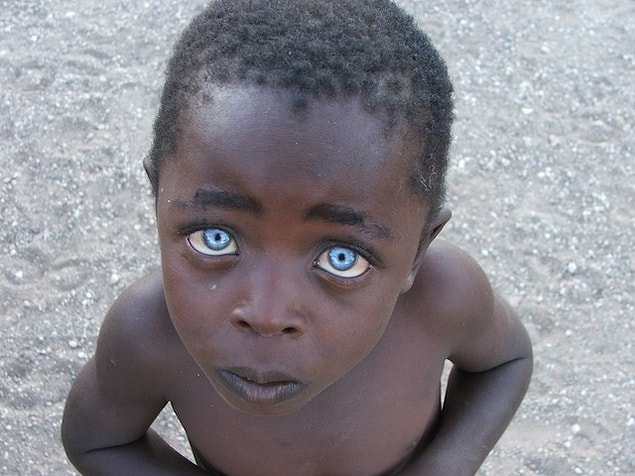 6. This little fella is from Zimbabwe.