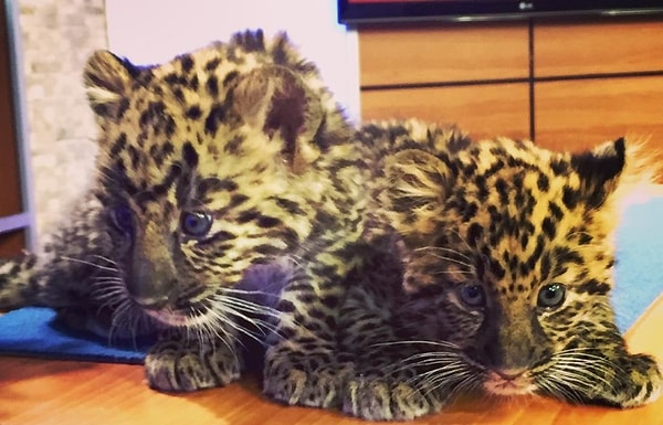 16. Время игр