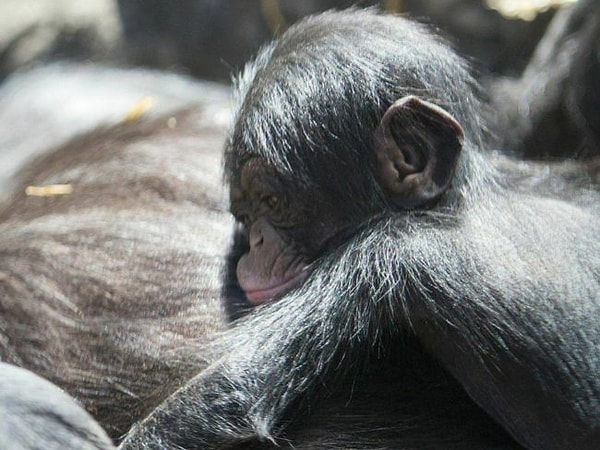 5. Не грусти, малыш =*