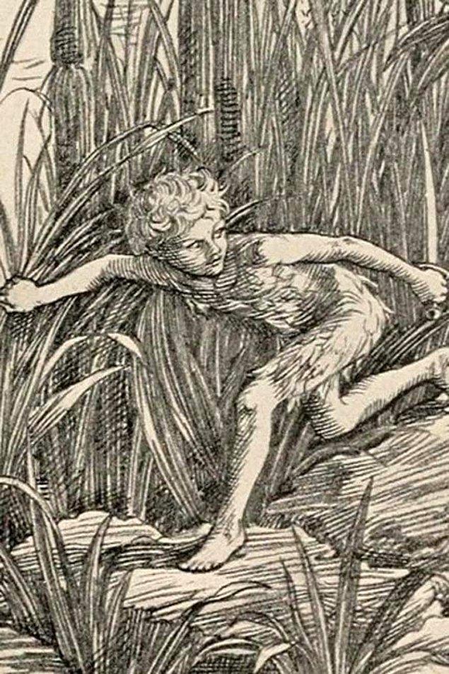 13. 1902 ve 1953'teki çizimleriyle Peter Pan