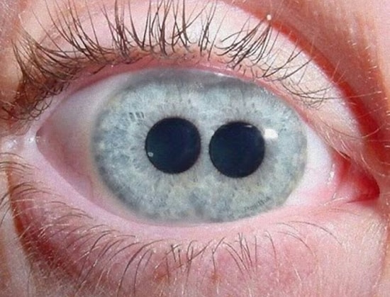 17 ГИФов в стиле "Пересмотрел раз 100"