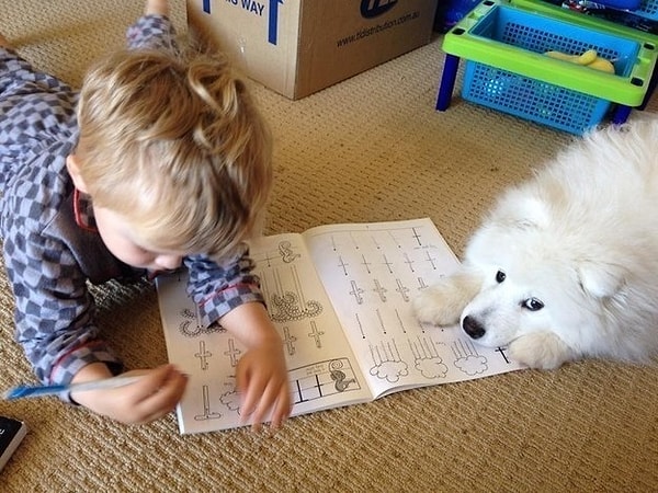 5. Помощь с домашним заданием