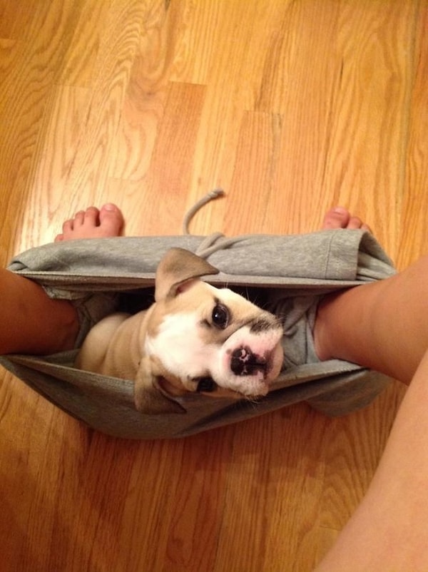 16. И в самые трудные моменты, они всегда с тобой