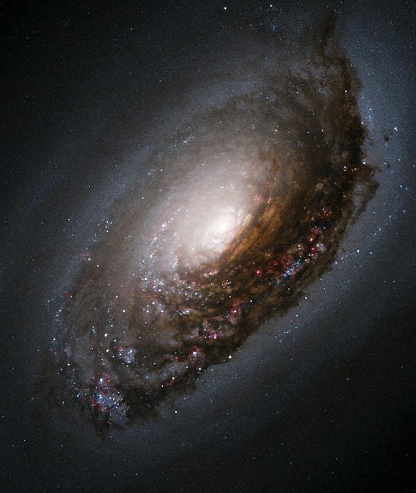 6. Siyah Göz Gökadası (M64/NGC 4826)