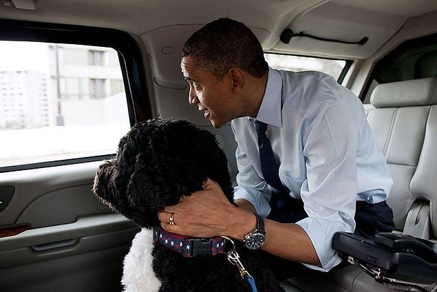 12. Bo, the dog of the Obama family, was always with him through his presidency :)