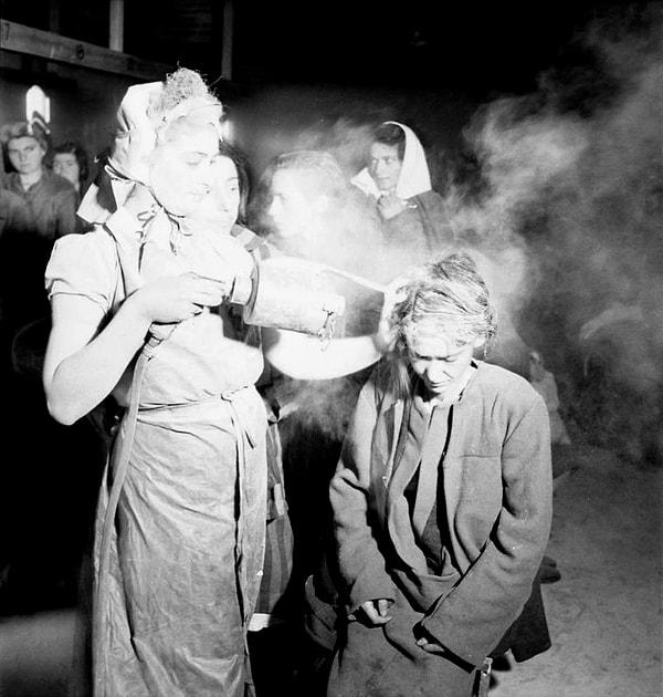 18. Bergen-Belsen toplama kampından yeni kurtarılmış kadın mahkumlara tifüs yayan bitleri öldürmek için DDT tozu serpilirlen. Mayıs, 1945.