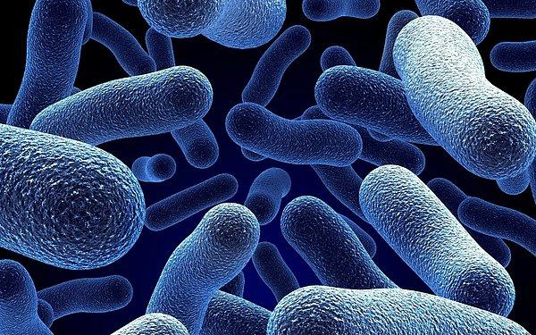 Bacillus F tipi bu bakteri 2009 yılında Sibirya buzullarında keşfedilen 3 antik bakteri türlerinden biri.