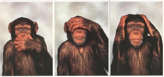 13 фотографий, которые удивят даже тех, кого уже ничем нельзя удивить