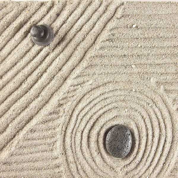 2. Внимательно посмотри на картинку. На что ты обратил(а) внимание в первую очередь?