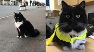 İngiltere'nin En Sevimli Tren İstasyonu Görevlisi Felix'le Tanışın!
