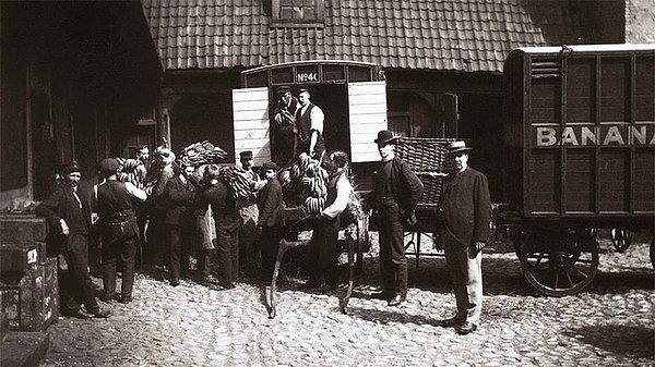28. Norveç'te İlk Muzlar, 1905