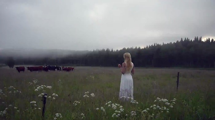 Koşarak Gidesiniz Gelecek: Vikinglerin Hayvanları Çağırma Şarkısı