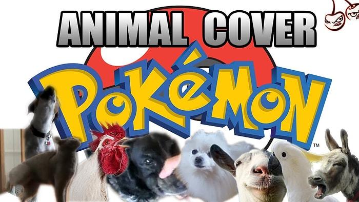 Pokemon'un Efsane Şarkısını Hayvanlar Söylerse