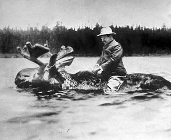 39. Teddy Roosevelt Amerikan Geyiğine Biniyor (1912)