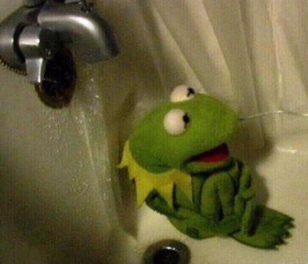 3. When you see your eyebrows in a picture from 5 years ago.